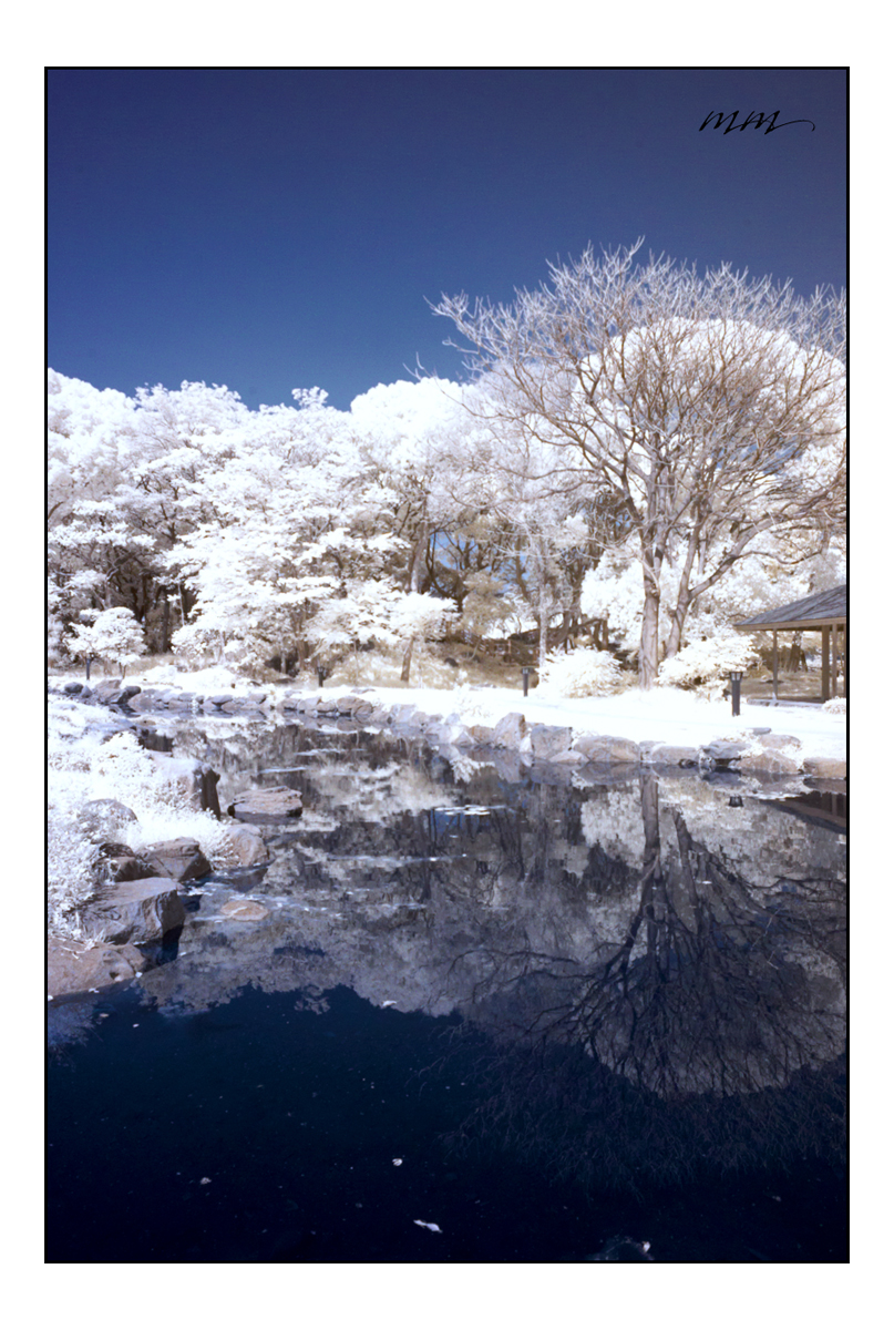 写真の森口ミツルです 11年5 月